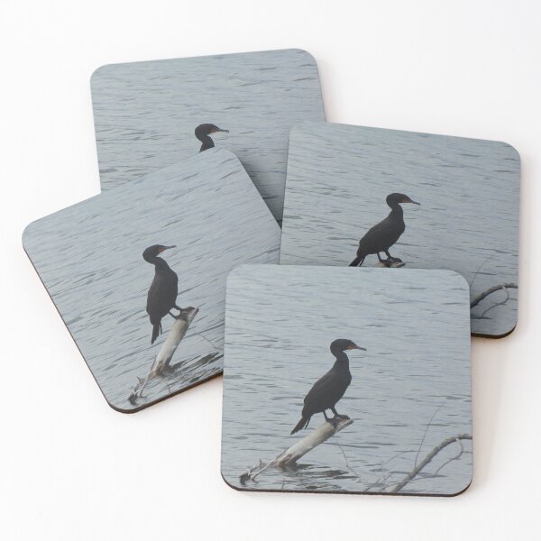 Item preview, May 1st Bird designed and sold by ReccaRedscale.