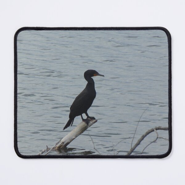 Item preview, May 1st Bird designed and sold by ReccaRedscale.