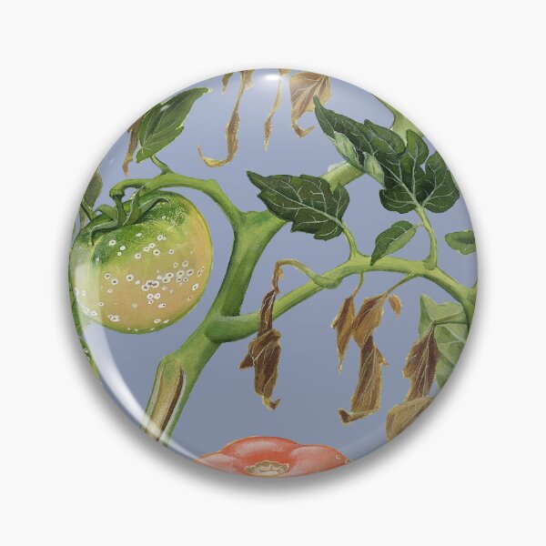 Item preview, Bacterial canker of Tomatoes (cut out) designed and sold by BiosecurityColl.