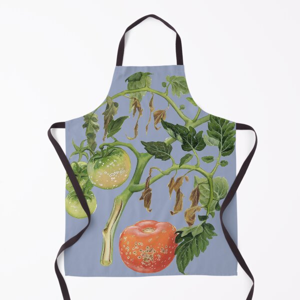 Item preview, Bacterial canker of Tomatoes (cut out) designed and sold by BiosecurityColl.