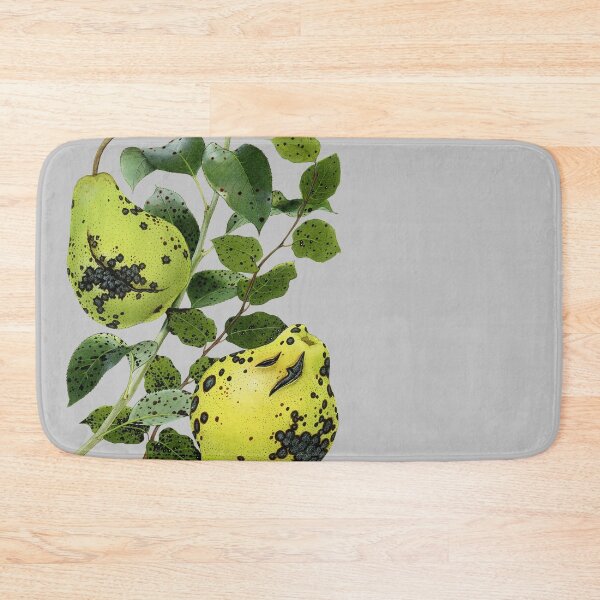 Item preview, Fleck of Pear (full) - (cut-away) designed and sold by BiosecurityColl.