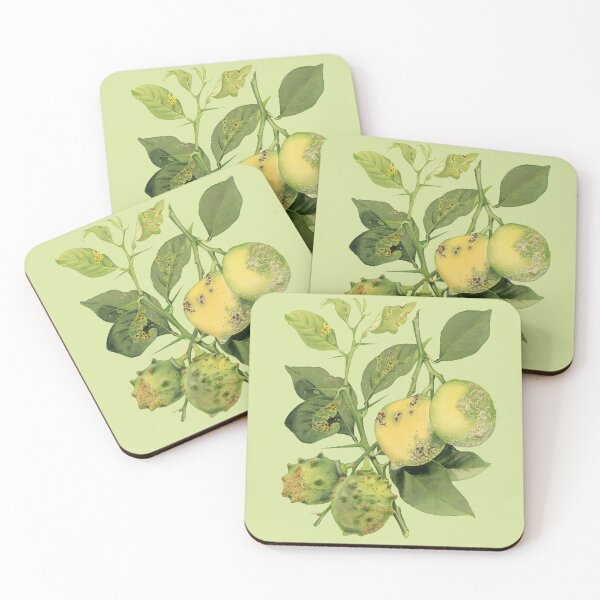 Item preview, Lemon Scab - (cut-away) designed and sold by BiosecurityColl.