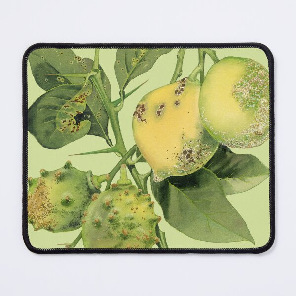 Item preview, Lemon Scab - (cut-away) designed and sold by BiosecurityColl.
