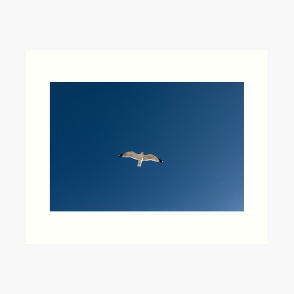 Artikel-Vorschau von Sea Gull Lake Fotografie, Strandhaus, Leben am See, designt und verkauft von SqueakyPeach.