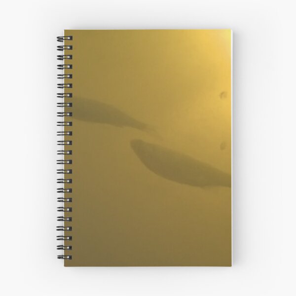 Item preview, Swimming Fish Underside designed and sold by CJRPics.