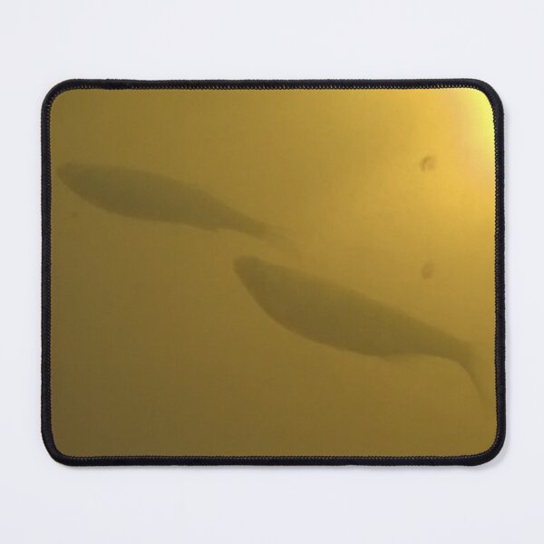 Item preview, Swimming Fish Underside designed and sold by CJRPics.
