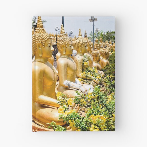 Item preview, Golden statues lined up at Wat Phousalao designed and sold by franck380.