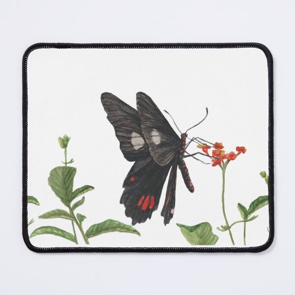 Item preview, Black Butterfly of Iguazu designed and sold by BiotaSilvestre.