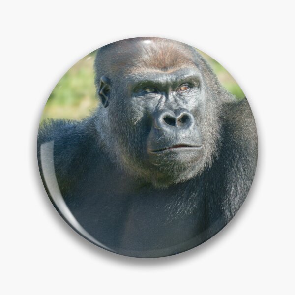 Item preview, Gorilla Lope's Little Quirk in the Sunshine designed and sold by rawshutterbug.