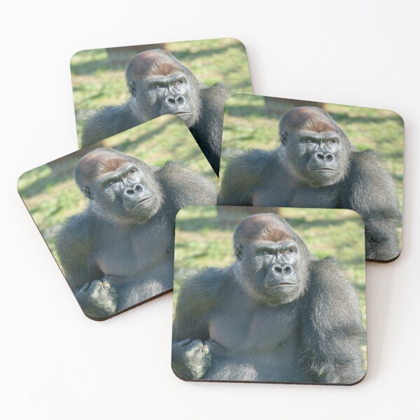 Item preview, Gorilla Lope's Little Quirk in the Sunshine designed and sold by rawshutterbug.