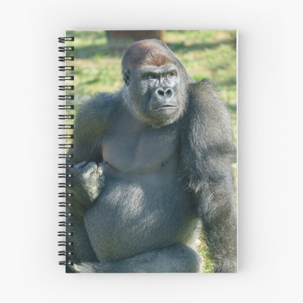 Item preview, Gorilla Lope's Little Quirk in the Sunshine designed and sold by rawshutterbug.