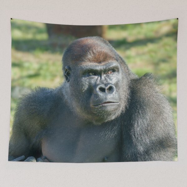 Item preview, Gorilla Lope's Little Quirk in the Sunshine designed and sold by rawshutterbug.