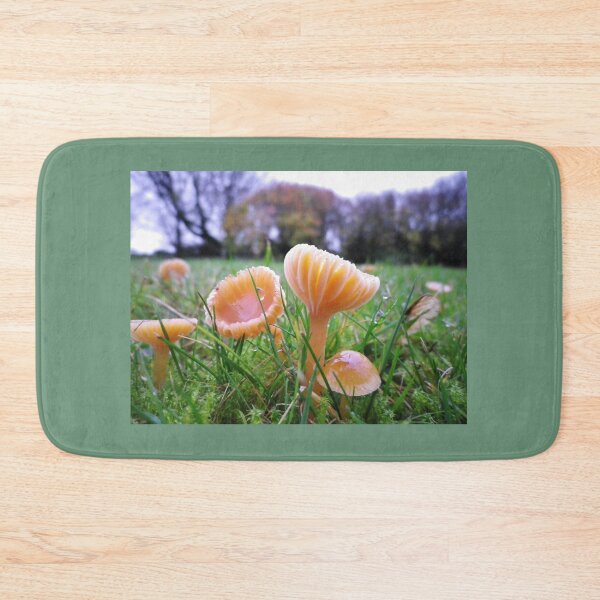 Item preview, WAXCAP FUNGI IN GRASS DEVON designed and sold by Richard Brookes Photography.