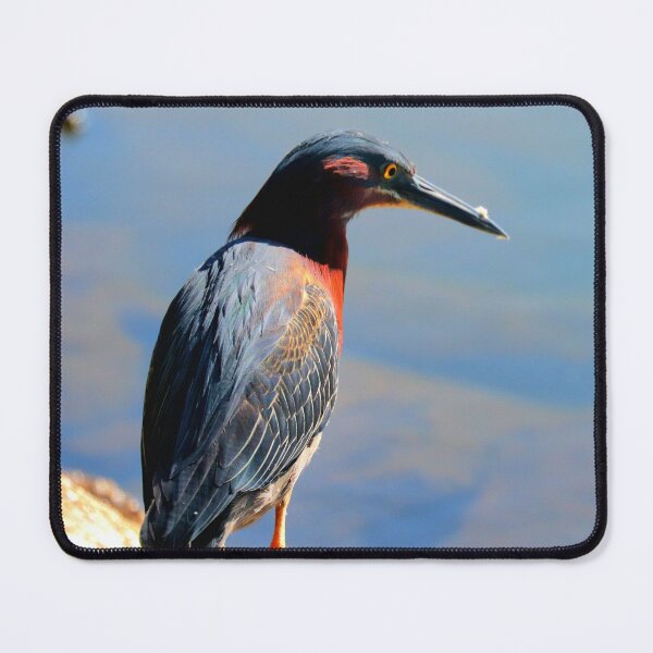 Item preview, Green Heron  designed and sold by Parks and X.