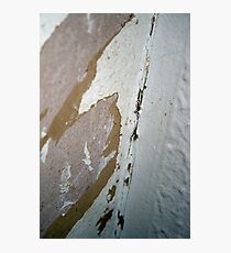 Paper Photographic Print