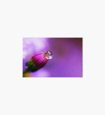 Flower Macro Art Board