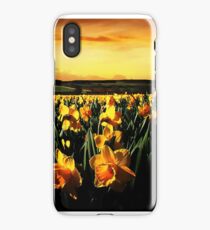 Field Of Daffodils iPhone Case