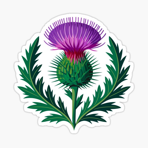 Item preview, Scottish Thistle designed and sold by Angry Swan Designs.