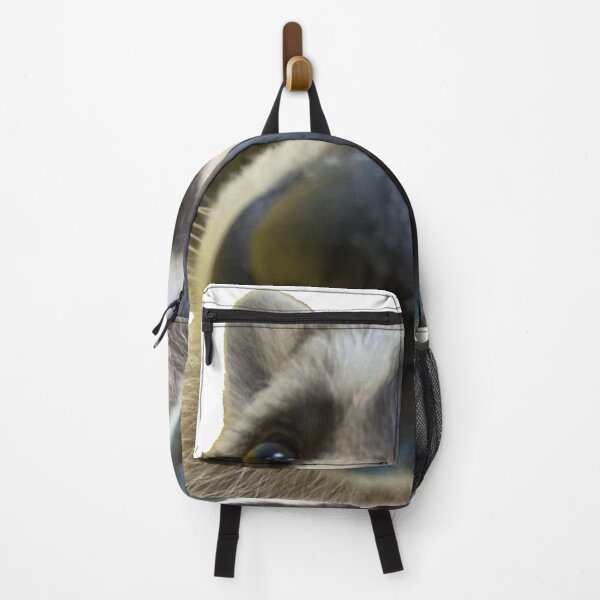 Item preview, Sniff Mode: Activated | Raccoon Chaos designed and sold by SpxrkyDesigns.
