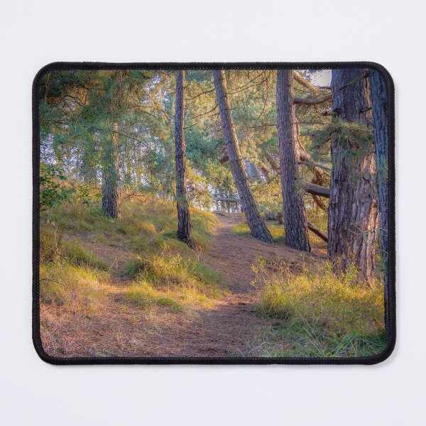 Item preview, Pinewoods on the Beach designed and sold by Jim Key.