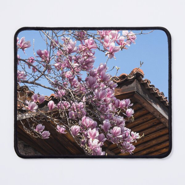 Item preview, Bold Pink Magnolia Blooms and Traditional Stone Building designed and sold by Georgia Mizuleva.