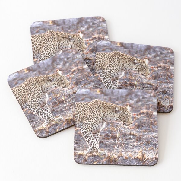 Item preview, Leopard at sunrise designed and sold by Inkwell innovations .