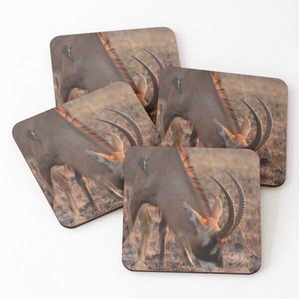 Item preview, Roan antelope at sunrise designed and sold by Inkwell innovations .