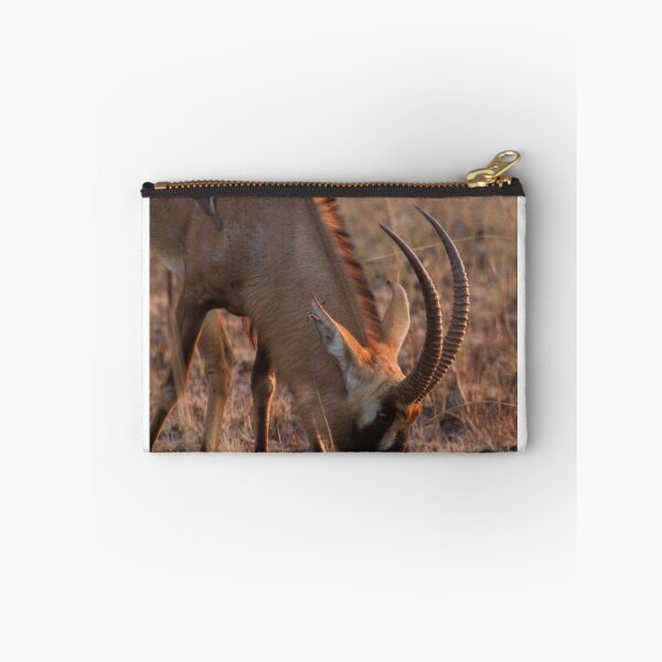 Item preview, Roan antelope at sunrise designed and sold by Inkwell innovations .