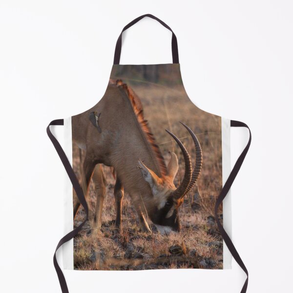 Item preview, Roan antelope at sunrise designed and sold by Inkwell innovations .