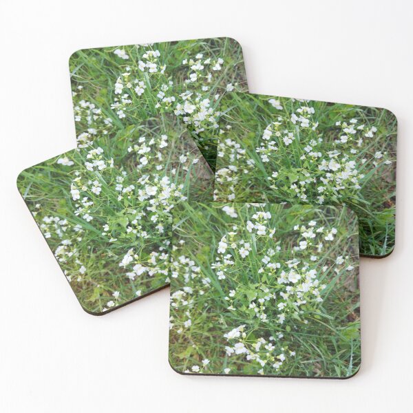 Item preview, Wild Whispers – Delicate White Meadow Blooms designed and sold by Shop by Sue.