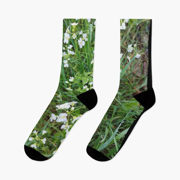 Item preview, Wild Whispers – Delicate White Meadow Blooms designed and sold by Shop by Sue.