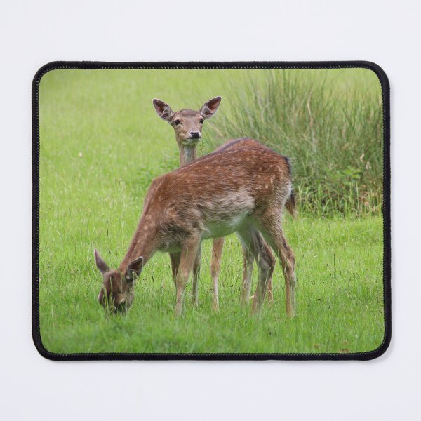 Item preview, Spotted in the Meadow designed and sold by AspenEyesPhotography.