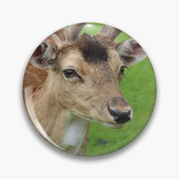Item preview, Velvet Gaze designed and sold by AspenEyesPhotography.