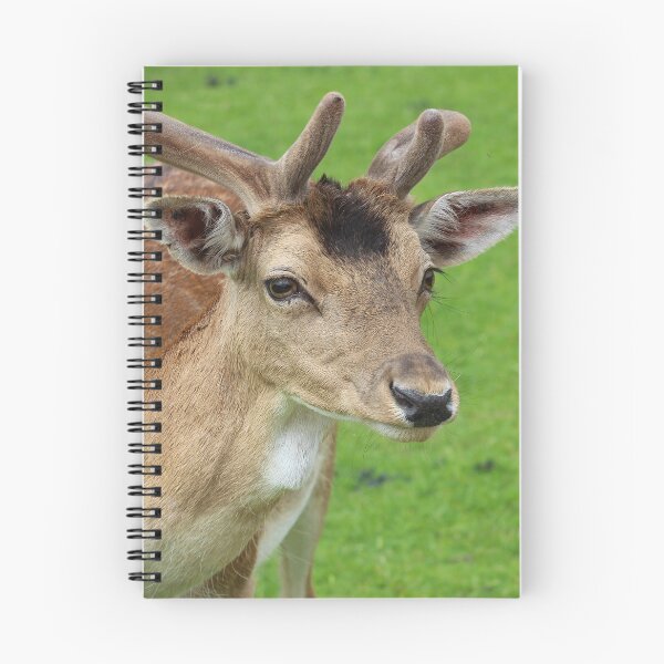 Item preview, Velvet Gaze designed and sold by AspenEyesPhotography.