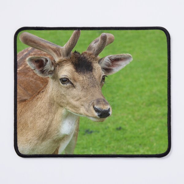 Item preview, Velvet Gaze designed and sold by AspenEyesPhotography.