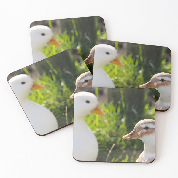 Item preview, Downy Duo designed and sold by AspenEyesPhotography.