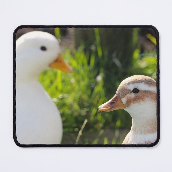 Item preview, Downy Duo designed and sold by AspenEyesPhotography.