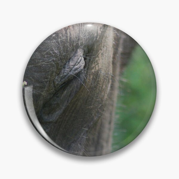 Item preview, Her Grace designed and sold by AspenEyesPhotography.