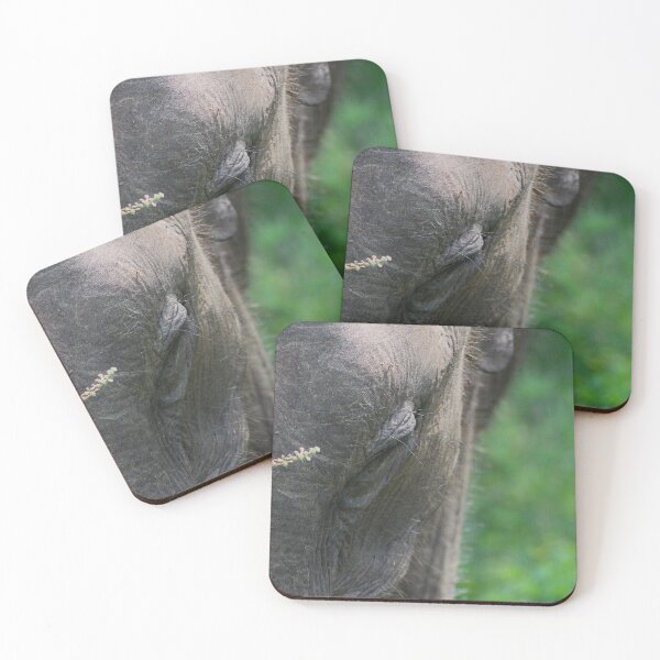 Item preview, Her Grace designed and sold by AspenEyesPhotography.