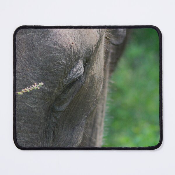 Item preview, Her Grace designed and sold by AspenEyesPhotography.