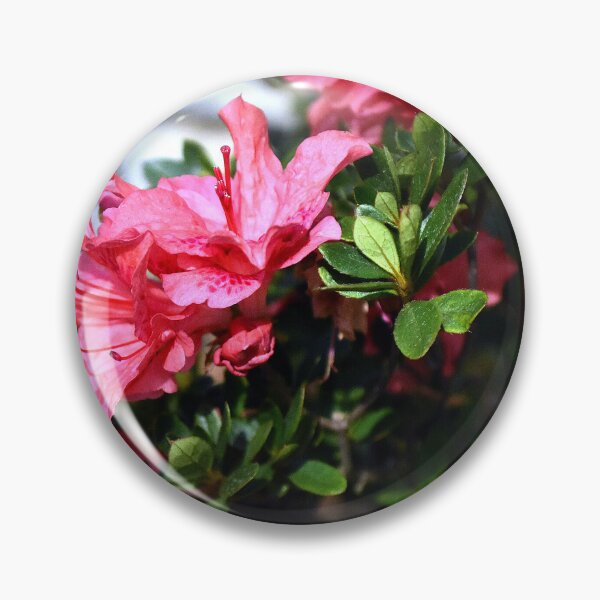 Item preview, Azalea Bunch designed and sold by MercerImages.