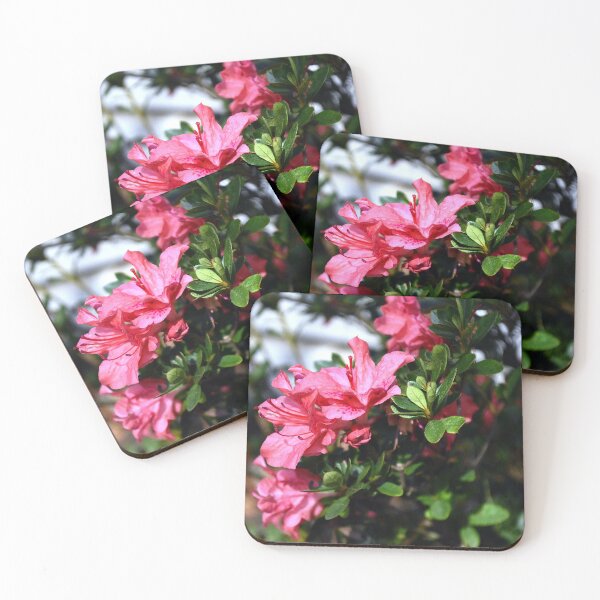 Item preview, Azalea Bunch designed and sold by MercerImages.