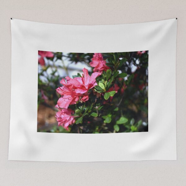 Item preview, Azalea Bunch designed and sold by MercerImages.