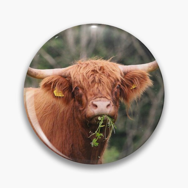 Item preview, A Bonnie Bovine designed and sold by AspenEyesPhotography.
