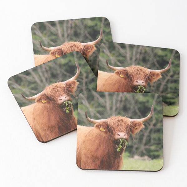Item preview, A Bonnie Bovine designed and sold by AspenEyesPhotography.