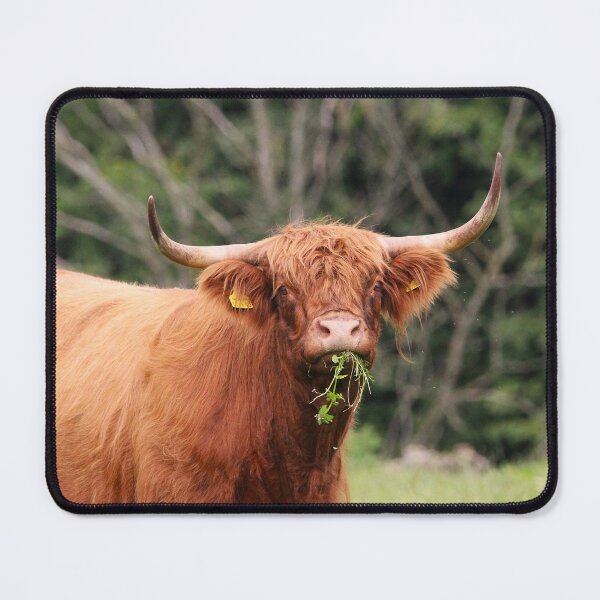 Item preview, A Bonnie Bovine designed and sold by AspenEyesPhotography.