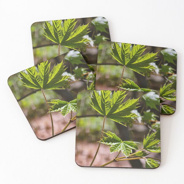 Item preview, Natures Leaves designed and sold by Jenyffercom.