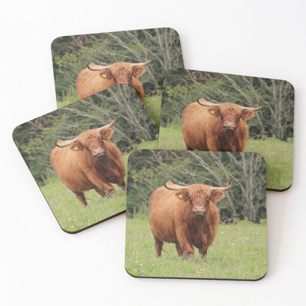 Item preview, The Watchful Coo designed and sold by AspenEyesPhotography.