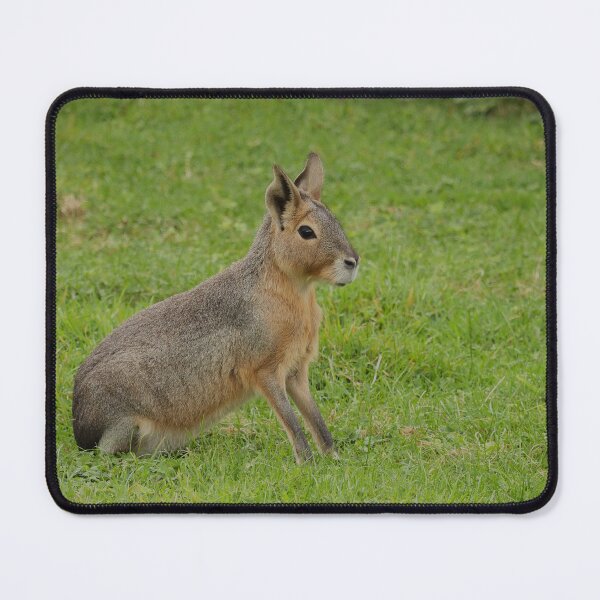 Item preview, Meadow Marauder designed and sold by AspenEyesPhotography.