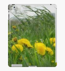 Gourmet Gold iPad Case/Skin